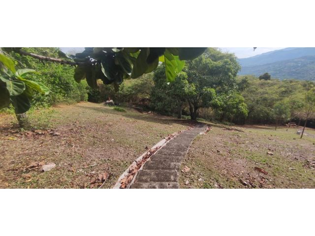 place photo 49