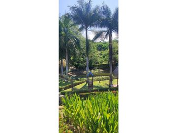 place photo 43