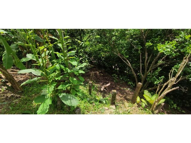 place photo 54