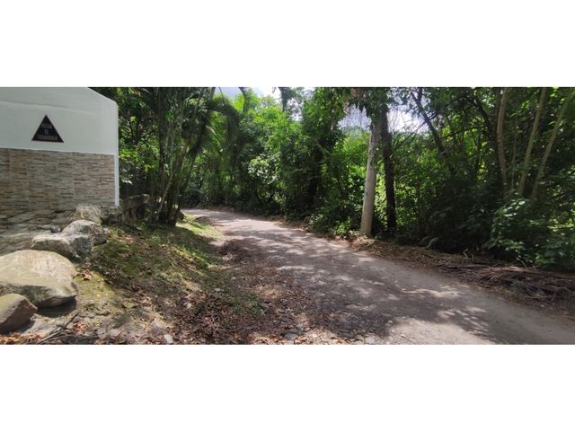 place photo 47