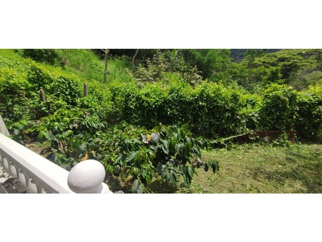 place photo 48