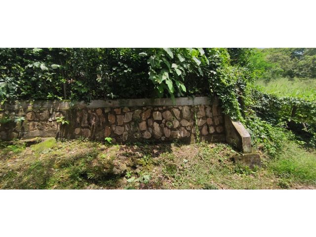 place photo 49