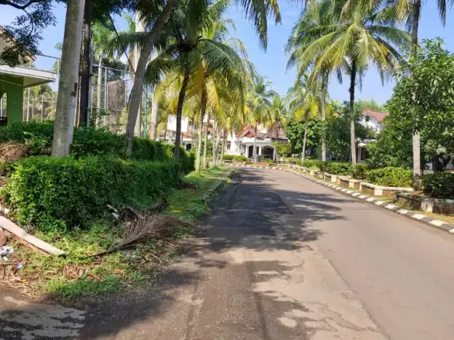 place photo 11