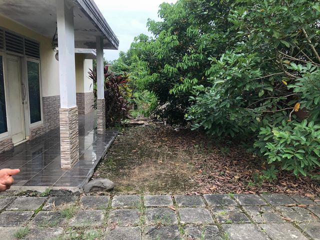 place photo 15