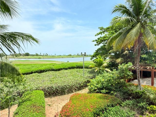 place photo 46