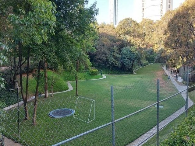 place photo 41