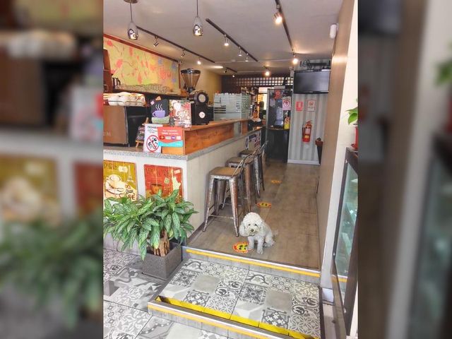 place photo 19