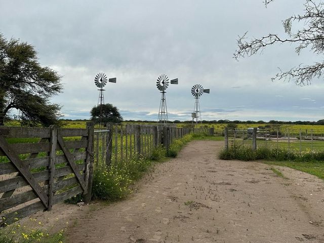 place photo 9