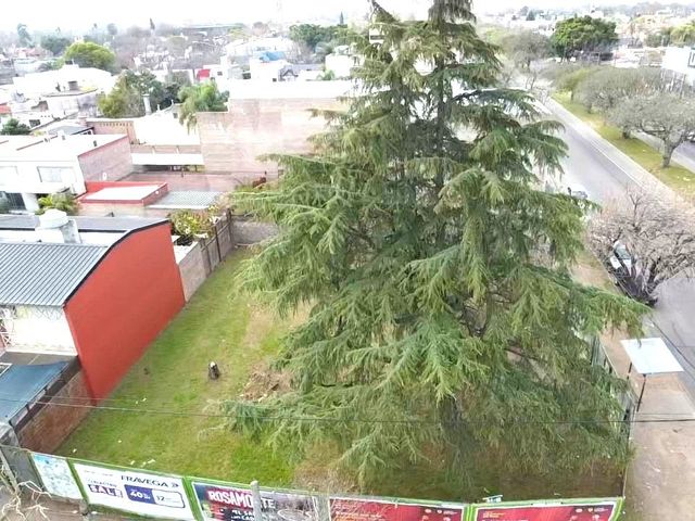 place photo 6