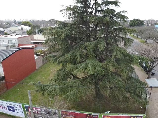 place photo 11