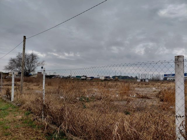 place photo 9