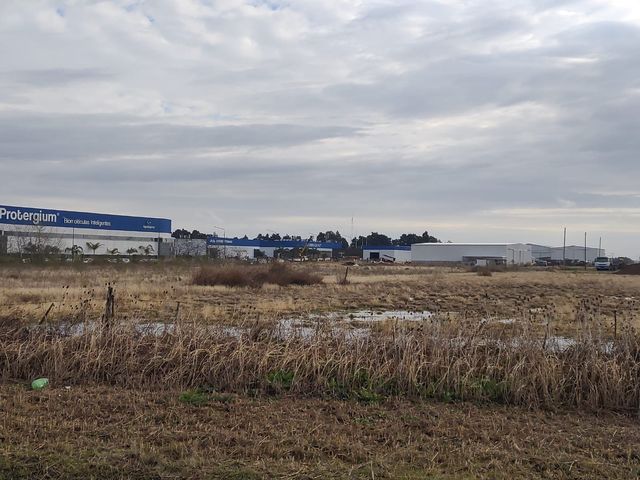 place photo 15