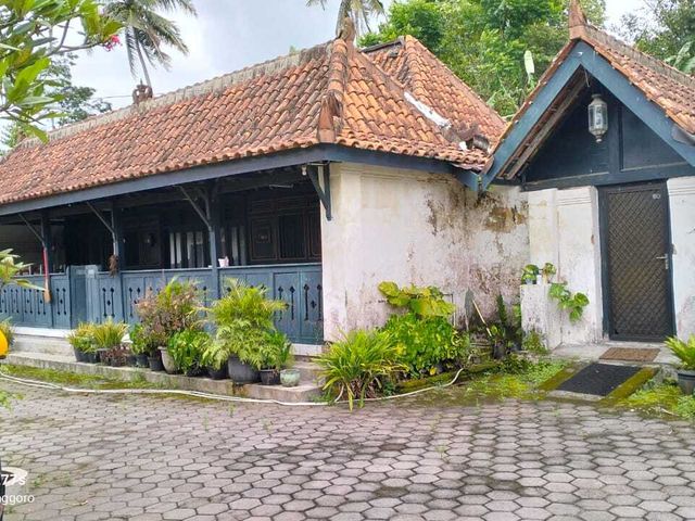 place photo 4