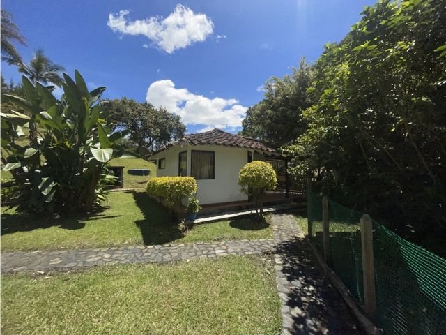 place photo 43