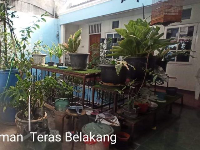 place photo 8