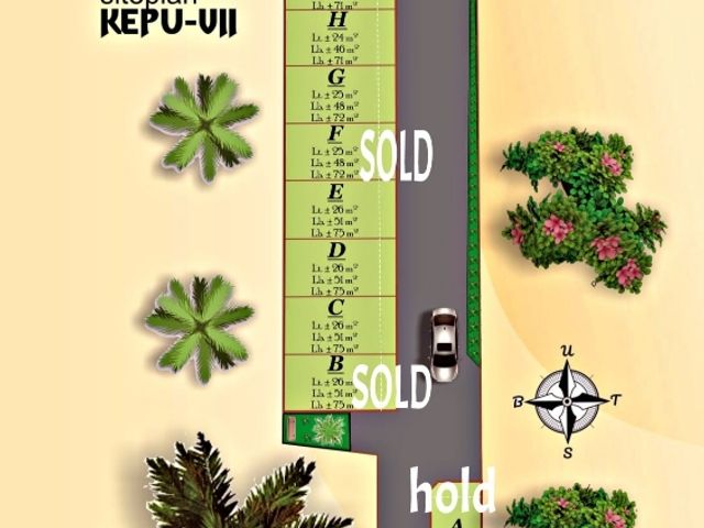 place photo 9