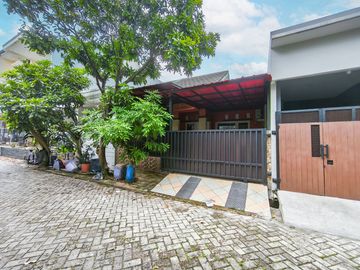 place photo 29