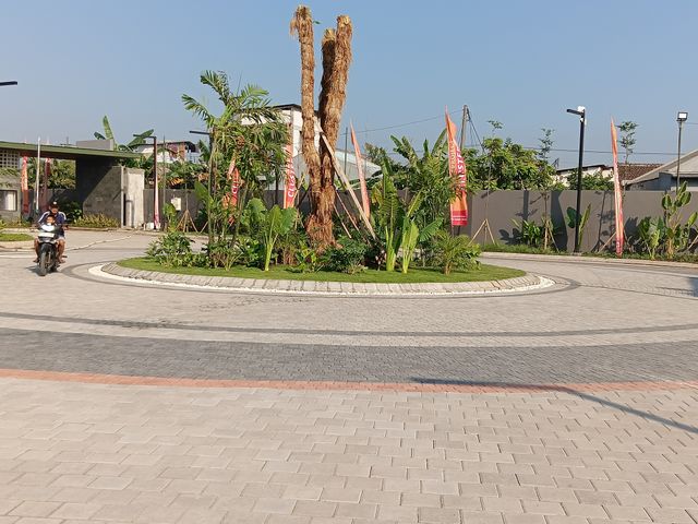 place photo 21