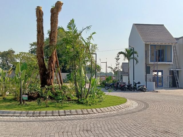 place photo 13