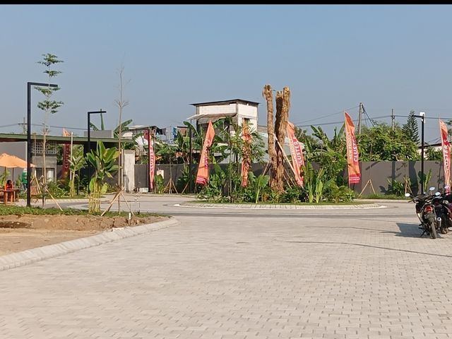 place photo 11
