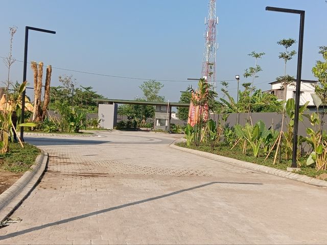 place photo 9