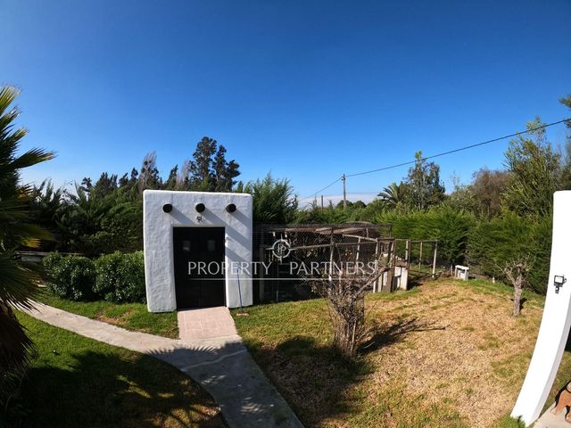 place photo 38
