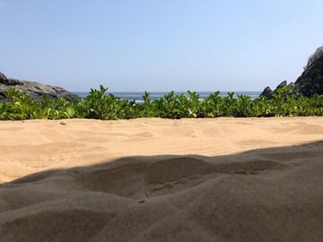 place photo 41
