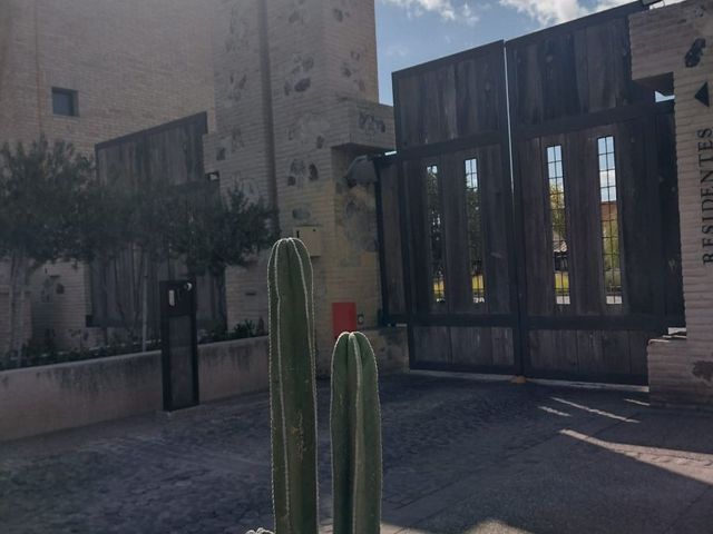 place photo 42