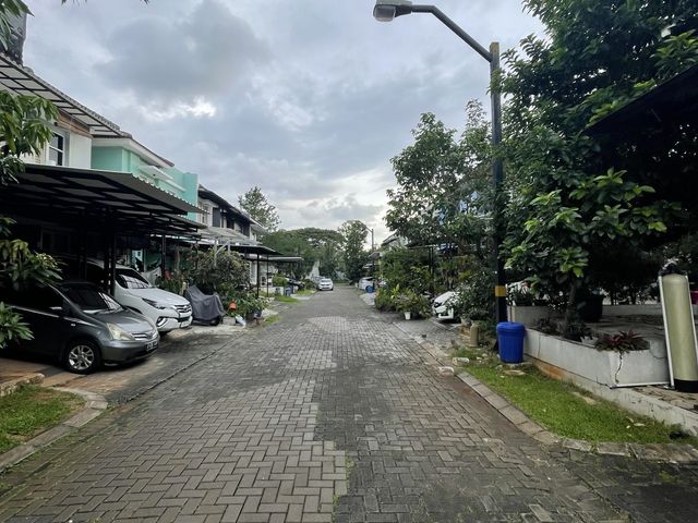 place photo 18
