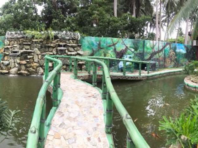 place photo 24