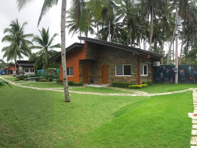 place photo 22