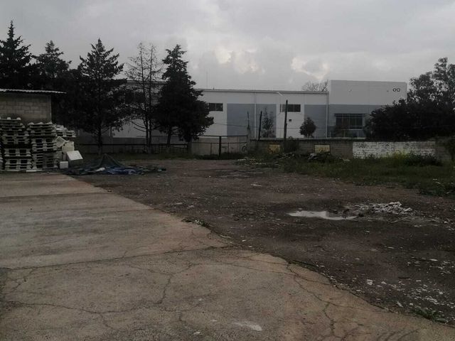 place photo 12
