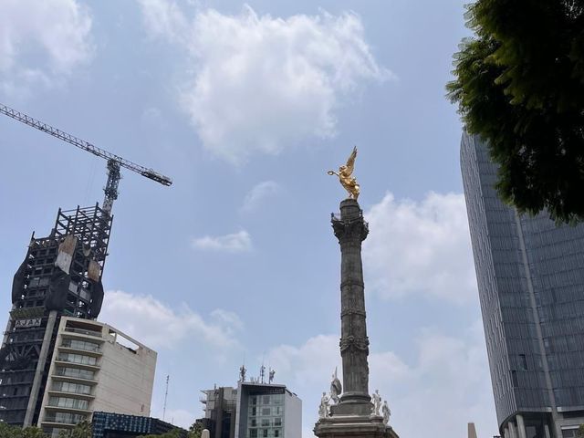 place photo 39