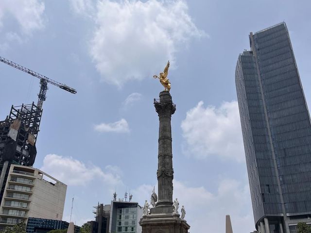 place photo 37