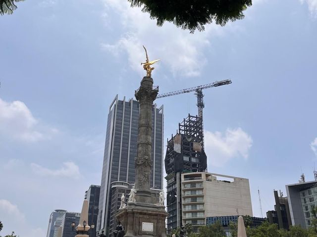 place photo 38
