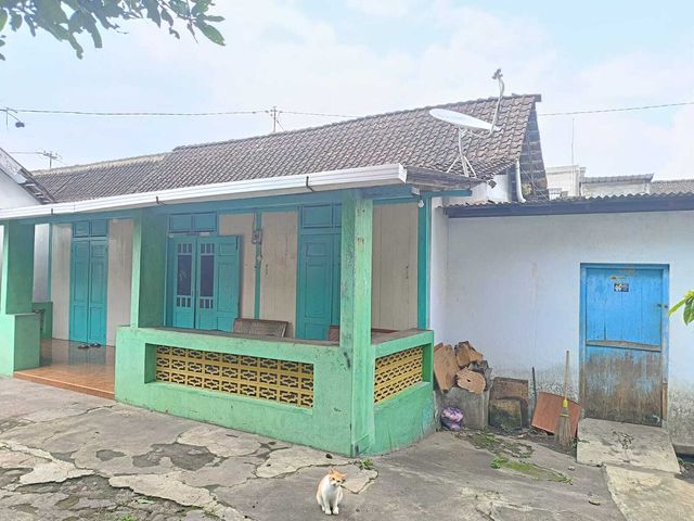 place photo 4