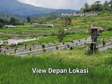 Petang, BADUNG, Bali, Indonesia