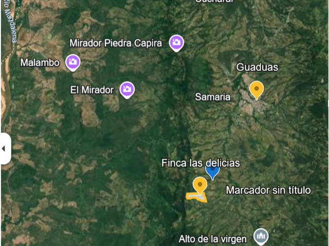 place photo 21