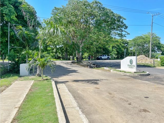 place photo 31