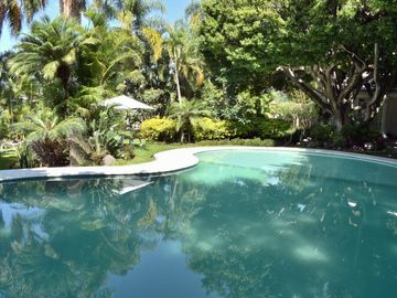 place photo 40