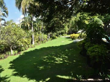 place photo 37
