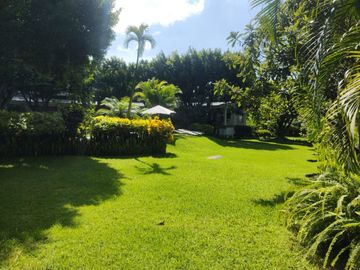 place photo 33