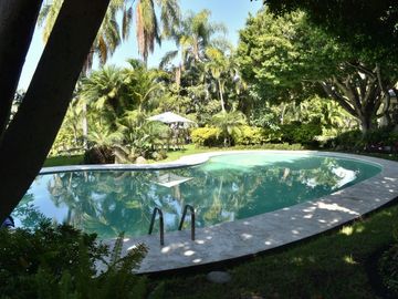 place photo 41