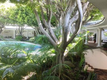 place photo 38