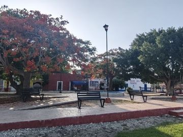place photo 9