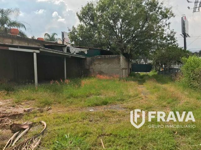place photo 16
