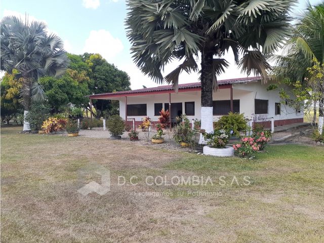 place photo 45