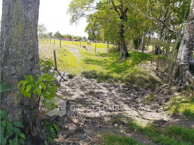 place photo 52