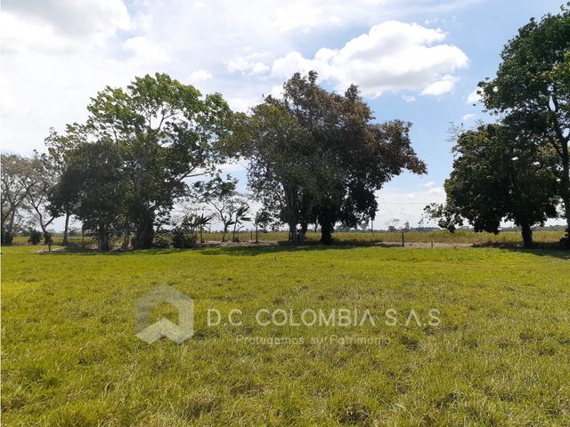place photo 46