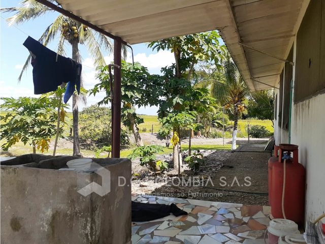 place photo 38